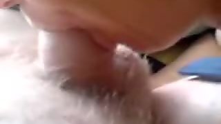This is, by far, my best amateur pov video. It shows me sucking my husband's hairy dick, while he's lying on the bed.